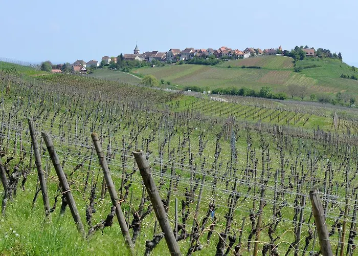 Restaurant Le Schlossberg ホテル 3*