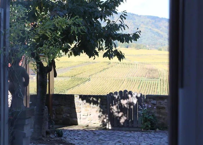 Restaurant Le Schlossberg 3*